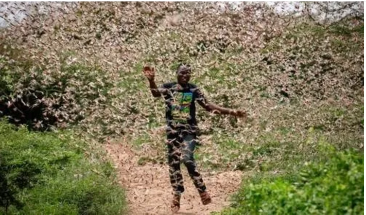 1609319882446897.png 圖片.png