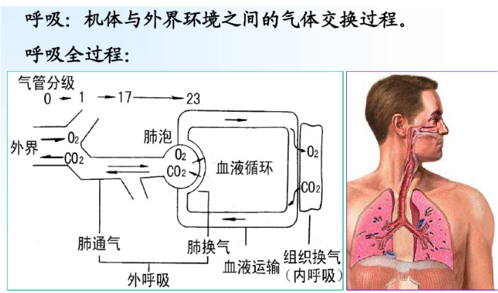 1610096679818803.png 圖片.png