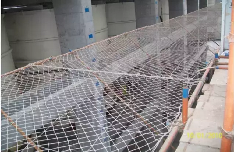 1612431912881998.png 圖片.png